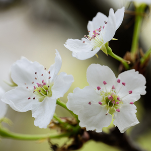 欧美变态另类刺激
